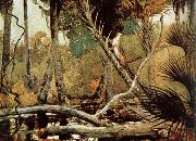Winslow Homer, Florida Jungle